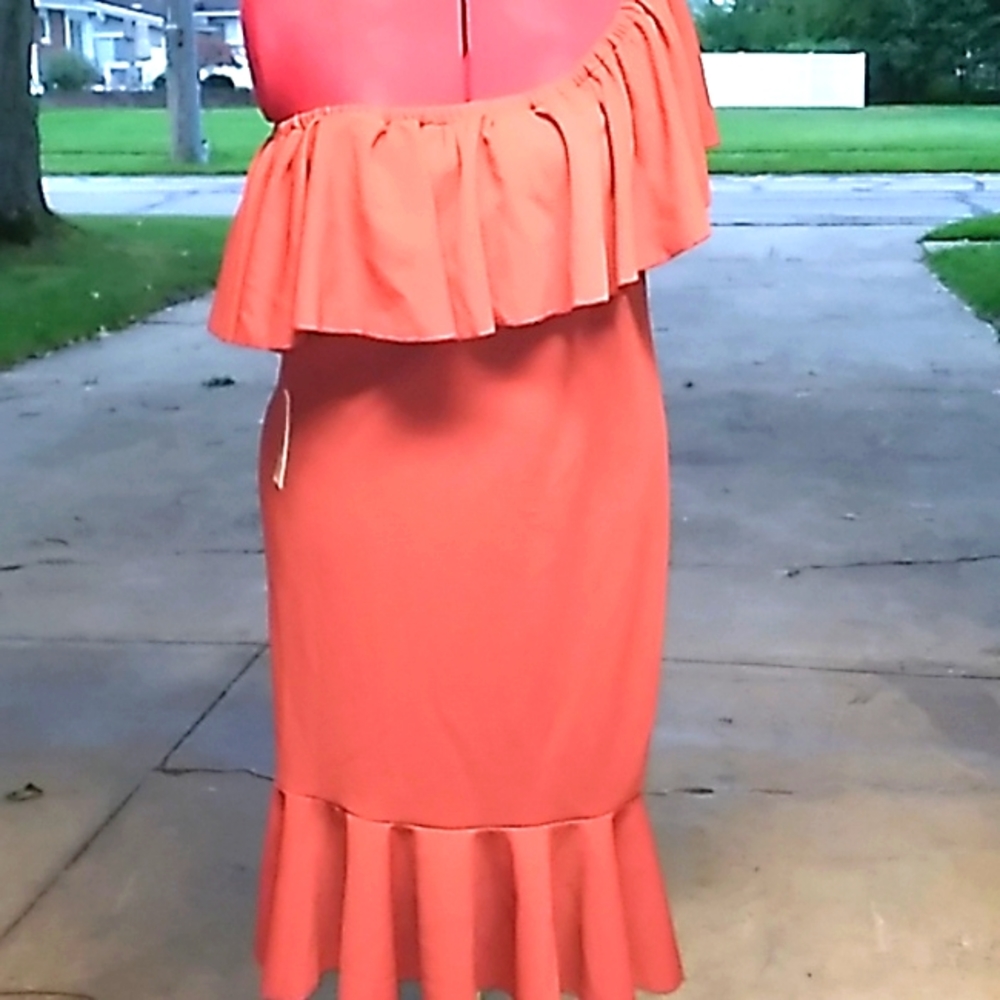 LuLaRoe ladies rust colored dress